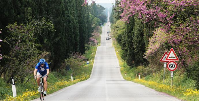 Il Chiassetto Bolgheri Luaran gambar